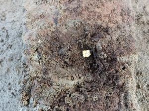 Misteri Emas Kuno di Candi Losari, Mungil tapi Jadi Sumber Energi Spiritual
