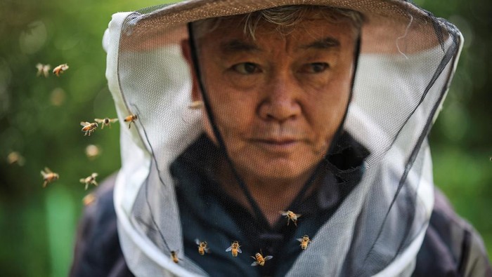 Park Gyeong-je, 65, a migratory beekeeper, checks an empty honeycomb that was supposed to be full of honey during the first honey harvest at the first location for migratory beekeeping in Gimcheon, South Korea, May 9, 2026. While Park used to make four trips across South Korea to harvest black locust honey, as a result of premature blooming he now makes only two and honey production takes place on only one to two months of the year. 
