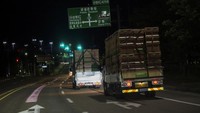 Pemerintah Korea Selatan mulai mengembangkan berbagai program untuk membantu populasi lebah, termasuk membiakkan lebah yang lebih tahan terhadap perubahan iklim dan menerapkan teknologi peternakan pintar. REUTERS/Kim Hong-Ji