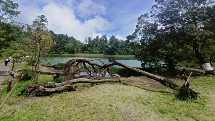 Pesona Ranu Regulo danau alami di ketinggian 2.100 mdpl