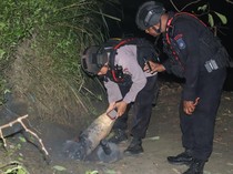 3 Temuan Bom Sisa PD II di Papua dalam Sepekan Usai Ledakan Maut di Biak