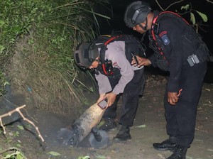 3 Temuan Bom Sisa PD II di Papua dalam Sepekan Usai Ledakan Maut di Biak