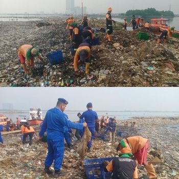 Viral 'Pulau Sampah' di Pesisir Jakut, Tim Gabungan Korve Bersihkan