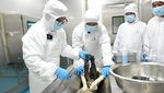 Budidaya Sturgeon Dongkrak Produksi Kaviar