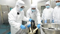   Pekerja terlihat mengolah telur ikan sturgeon di fasilitas produksi kaviar di Kabupaten Zhuoni. Proses pengolahan dilakukan dengan standar ketat untuk menjaga kualitas produk yang dikenal sebagai salah satu makanan mewah dengan nilai ekonomi tinggi. China News Service via Getty Ima/China News Service