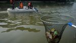 Peringati Hari Lingkungan Hidup, Petugas dan Warga Bersihkan Sungai Cisadane