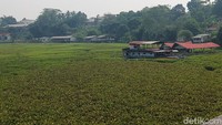 Tak ada celah perahu bisa menerjang rapatnya pertumbuhan gulma air yang menjadi indikasi buruknya kualitas air sungai. 
