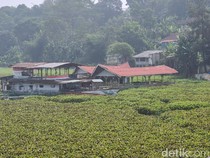 Saat Eceng Gondok Tutupi Sungai Citarum KBB