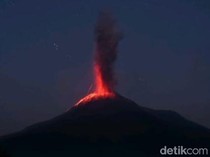 Lewotobi Laki-laki Meletus Lagi Malam Ini, Puncak Gunung Terlihat Membara
