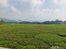 Sungai Citarum yang Hilang Ditelan Hamparan Eceng Gondok