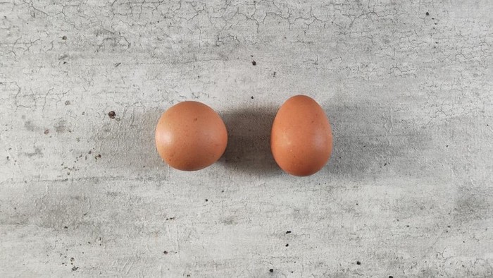 Heboh! Temuan Telur Bulat Sempurna, Kelangkaannya Disebut 1:1 Miliar