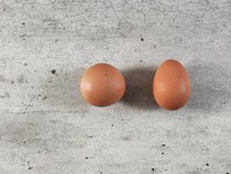 Heboh! Temuan Telur Bulat Sempurna, Kelangkaannya Disebut 1:1 Miliar