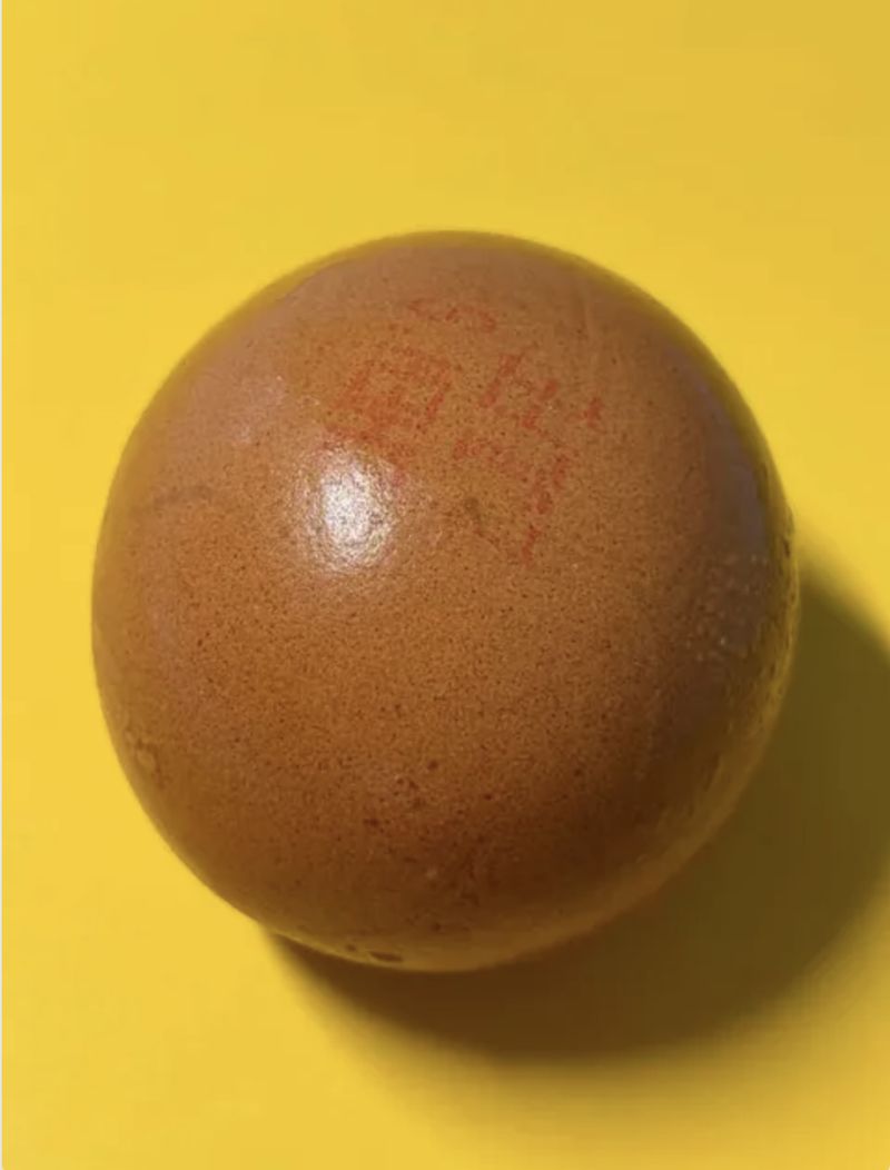 Heboh! Temuan Telur Bulat Sempurna, Kelangkaannya Disebut 1:1 Miliar