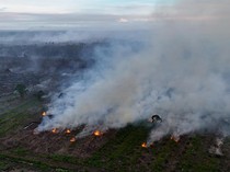 Super El Nino Bisa Picu Karhutla, Ancaman Kabut Asap Lintas Negara Meningkat