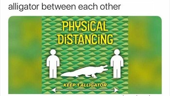 Bukan pakai cm atau meter, satuan jarak di Florida pakai aligator. Foto: onlyinamericausanews1 via Bored Panda