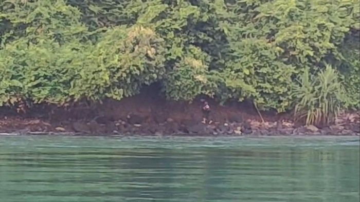 Pria asal Kabupaten Lampung Utara ditemukan selamat setelah diduga terjatuh dari kapal penyeberangan rute Bakauheni-Merak di perairan Selat Sunda.