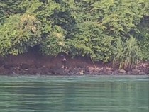 Jatuh dari Kapal, Pria di Lampung Bertahan Semalaman di Pulau Penjurit