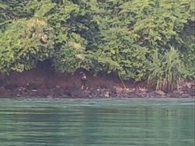Jatuh dari Kapal, Pria di Lampung Bertahan Semalaman di Pulau Penjurit