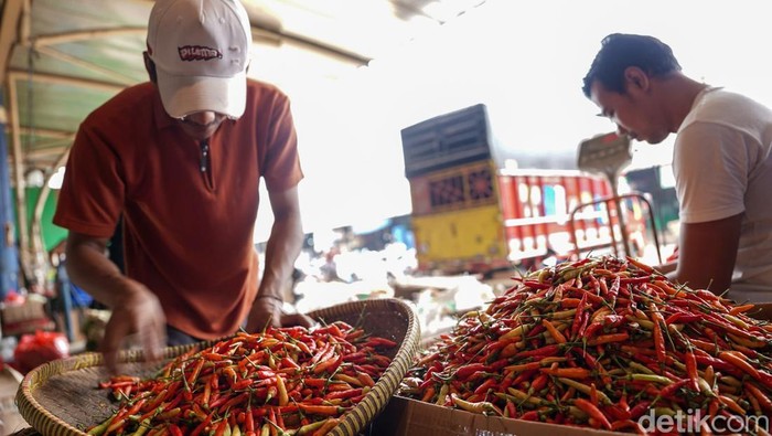 Saat Dolar Menguat, Harga Cabai Ikut Menanjak Tembus Rp84 Ribu per Kg Pedagang menata cabe di Pasar Induk Kramat Jati, Jakarta, Jumat (5/6/2026). Melemahnya nilai tukar Rupiah terhadap Dolar AS berakibat kepada kenaikan nilai pangan. Harga cabe merah di Jakarta mencapai Rp 84 ribu per kilogram hari ini.