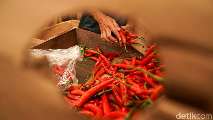 Saat Dolar Menguat, Harga Cabai Ikut Menanjak Tembus Rp84 Ribu per Kg Pedagang menata cabe di Pasar Induk Kramat Jati, Jakarta, Jumat (5/6/2026). Melemahnya nilai tukar Rupiah terhadap Dolar AS berakibat kepada kenaikan nilai pangan. Harga cabe merah di Jakarta mencapai Rp 84 ribu per kilogram hari ini.