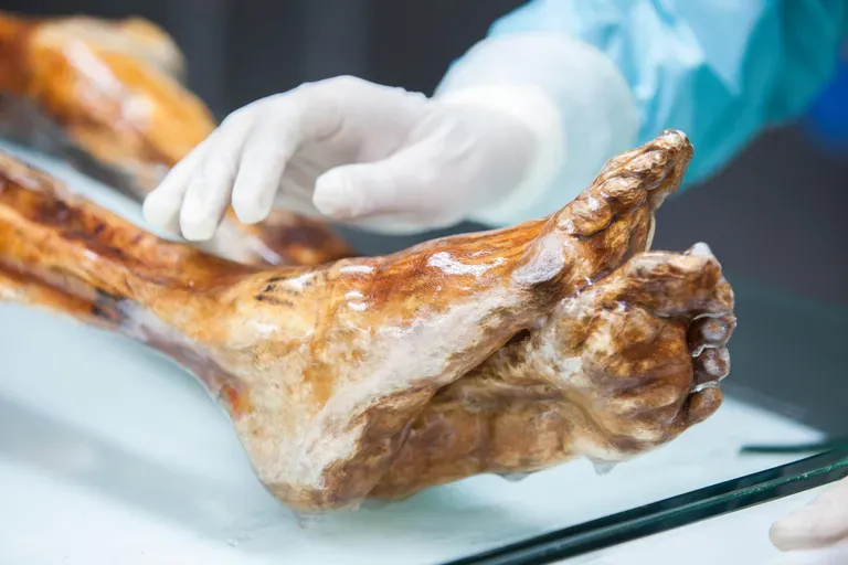 Gokil! Eksperimen Bikin Sourdough pakai Ragi dari Tubuh Mumi