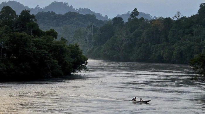 Tane Olen Desa Setulang, Malinau, Kalimantan Utara. (dok Pemerintah Desa Setulang)