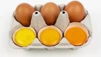 Berasal dari Jenis Ayam Sama, Kenapa Telur Omega 3 Kuningnya Beda?