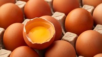 Telur Omega-3 Bukan dari Jenis Ayam Berbeda, Kok Bisa Kandungan Nutrisinya Tak Sama?