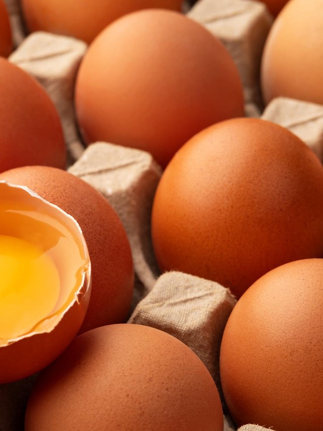Polemik Nutrisi Telur Omega 3