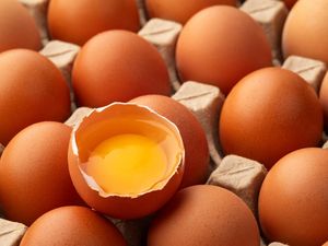 Banyak yang Belum Tahu Ada Telur Grade B! Kenapa Jarang Dijual?