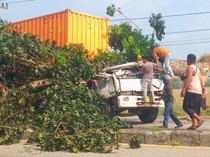 Truk Kontainer Tersangkut Pohon di Karawang, Sopir dan Penumpang Tewas