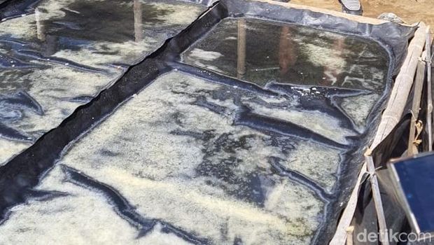 Produksi garam palungan Desa Les di Buleleng Bali