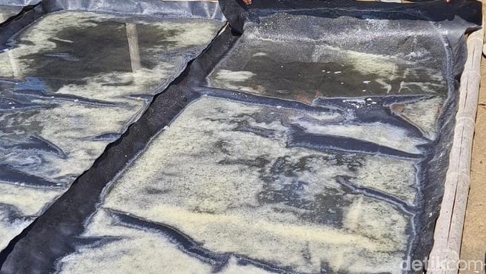 Produksi garam Desa Les di Buleleng Bali