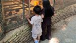 Potret Jakarta Escape, Oase Wisata Edukasi Anak di Bekasi