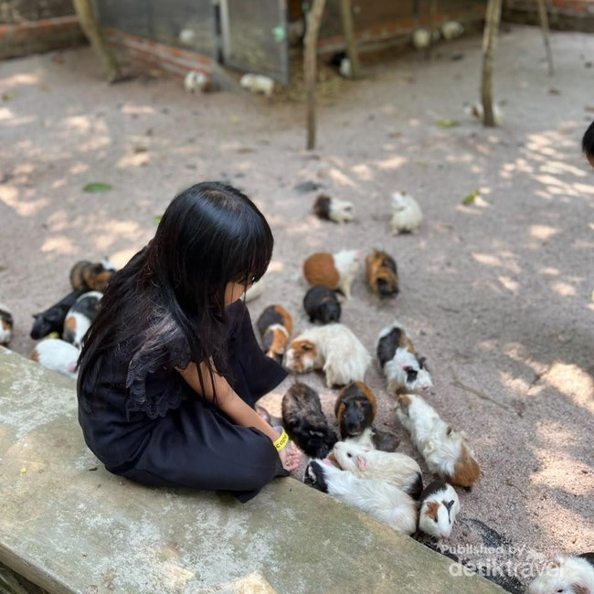 Potret Jakarta Escape, Oase Wisata Edukasi Anak di Bekasi