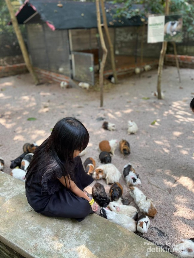 Potret Jakarta Escape, Oase Wisata Edukasi Anak di Bekasi