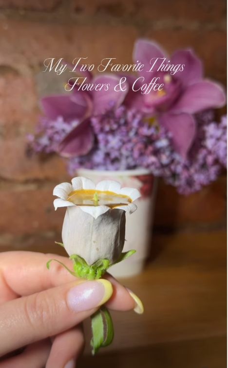 Tren Fairypresso