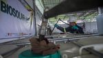 Indonesia Gaspol Energi Hijau, B50 Ditargetkan Berlaku Mulai Juli