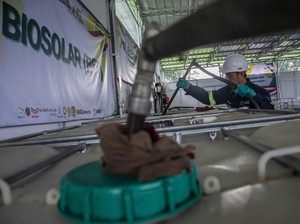 Harga Indeks Biodiesel Agustus 2026 Naik Jadi Rp 14.924/Liter