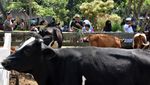 Serasa di New Zealand, Wisata Peternakan di Puncak Bogor Jadi Magnet Keluarga