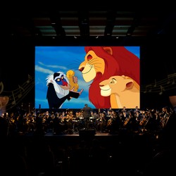 Kejutan Disney Hadir, The Lion King Live in Concert Siap Digelar 13-14 Juni