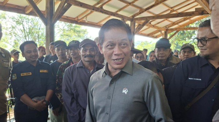 Wamenko Pangan Hanif Faisol (Solihin/detikcom)