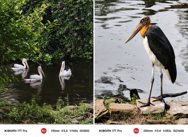 XIaomi 17T Pro dan Hasil Fotonya XIaomi 17T Pro dan Hasil Fotonya