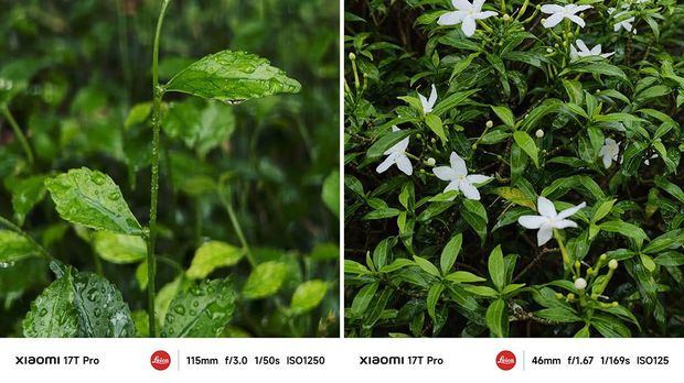 XIaomi 17T Pro dan Hasil Fotonya XIaomi 17T Pro dan Hasil Fotonya