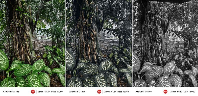 XIaomi 17T Pro dan Hasil Fotonya XIaomi 17T Pro dan Hasil Fotonya