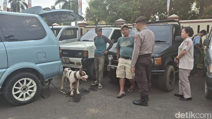 Bocah laki-laki berusia 9 tahun tewas diserang anjing pemburu babi hutan di Jasinga, Bogor, Jawa Barat. Kasus itu mencuat setelah ada penemuan mayat korban. (M Sholihin/detikcom)