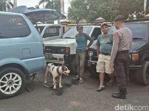 Bocah Bogor Tewas Diserang Anjing Pemburu Saat Mancing, Temannya Selamat