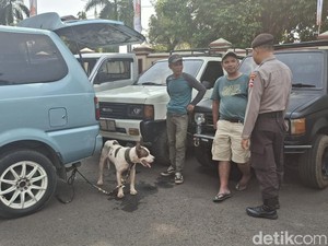 Horor Anjing Pemburu Babi Hutan Tewaskan Bocah di Bogor