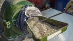Dari Sampah Jadi Berkah, Cangkang Kerang Hijau Disulap Jadi Paving Block