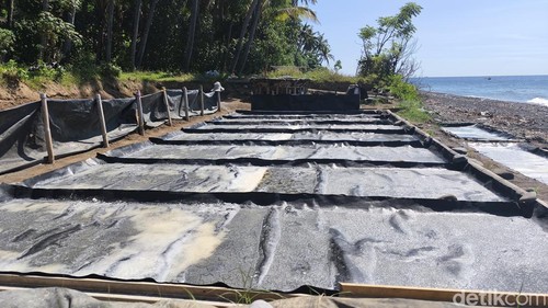 Garam palungan, garam produksi tradisional petani Desa Les, Buleleng, Bali.